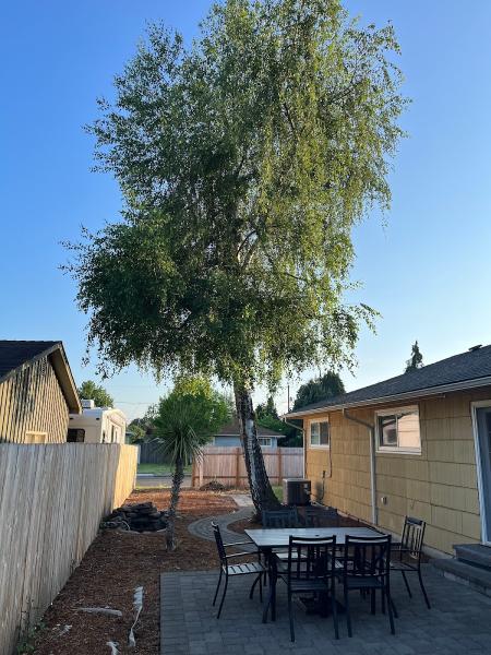 Mountain View Tree Service