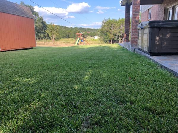 In Season Lawn Care