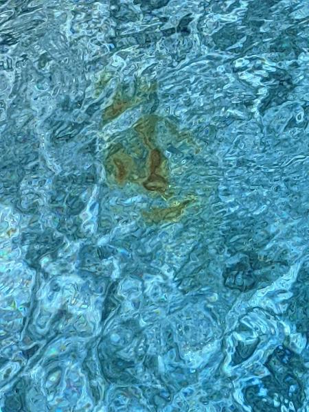 Stewart Pools