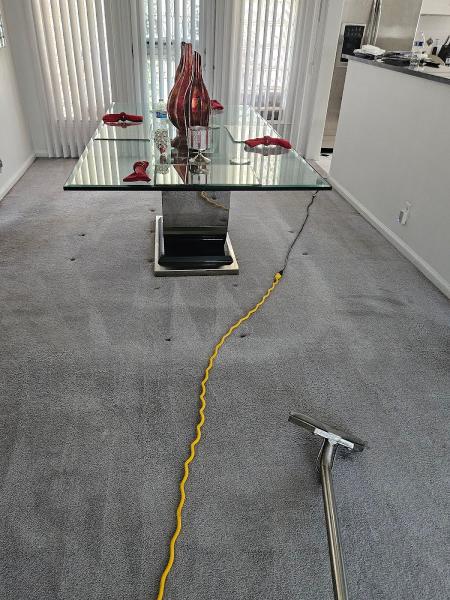 D and Ds Carpet Cleaners