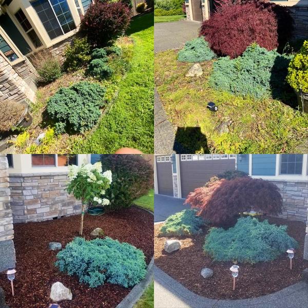 Gypsy Gardening