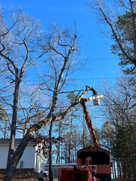 Ziemba's Tree Service