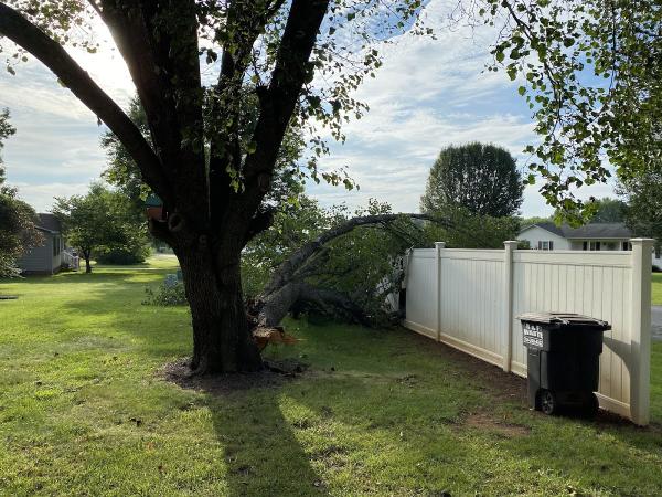Ziemba's Tree Service