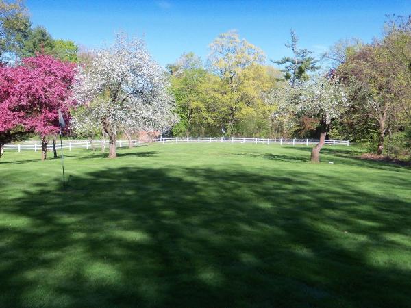 Cedar Tree Properties