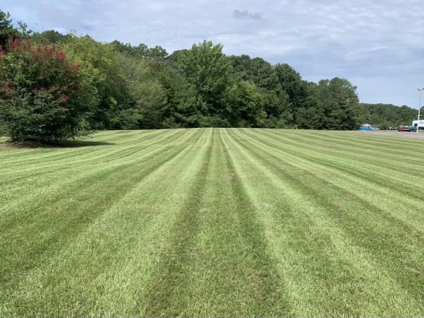 Greenline Lawncare and Landscape