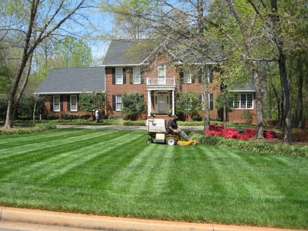 Ward Landscape & Lawncare L.l.c.