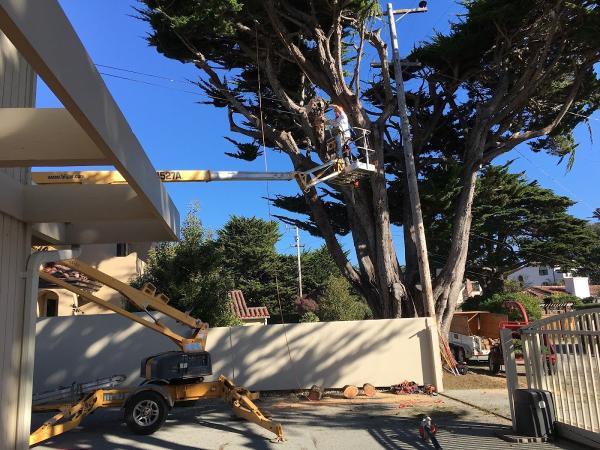Trout Gulch Tree Service & Property Maintenance