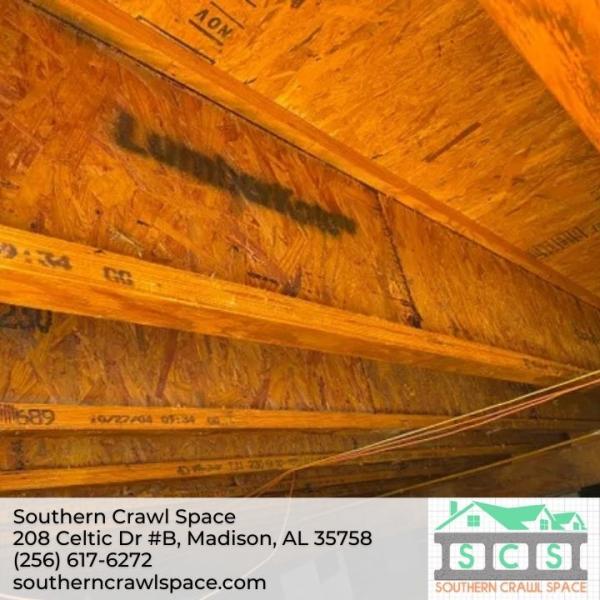 Southern Crawl Space