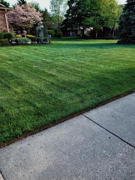 Independent Lawn Service