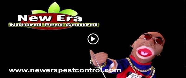 New Era Natural Pest Control