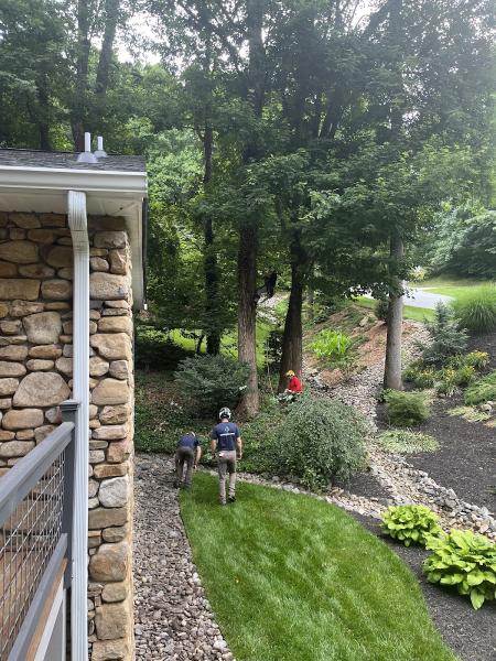 Epperson Tree Service