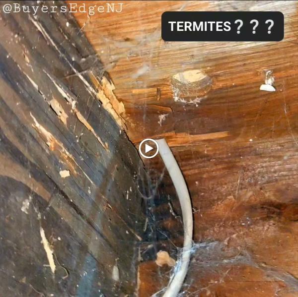 Buyers Edge Home Inspections