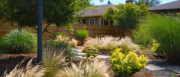 Garden Stories