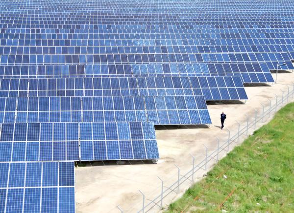 Unicorn Solar Development