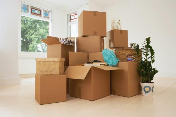 Mighty Movers