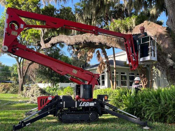 Durham's Tree Service