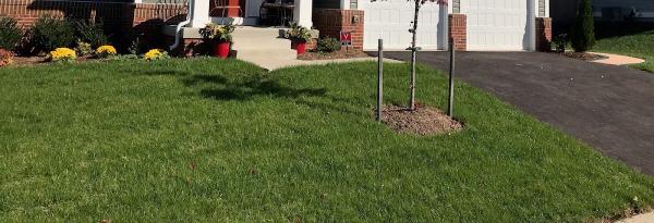SOD Layers LLC