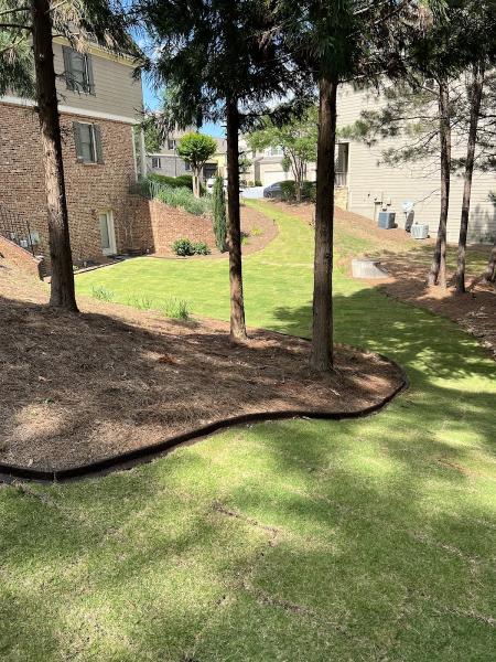 All Star Landscapes and Lawn Care LLC