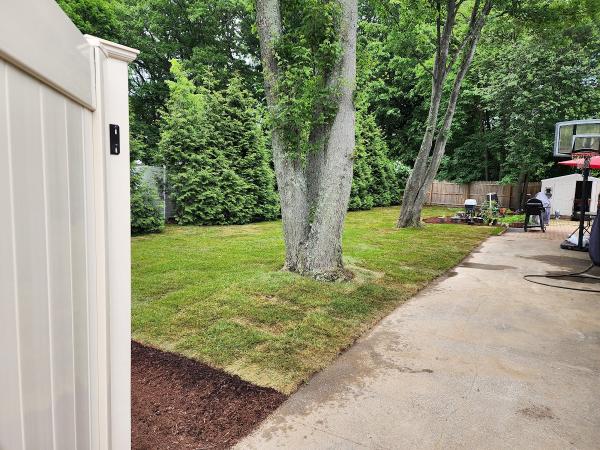 Pristine Lawn Care and Landscaping