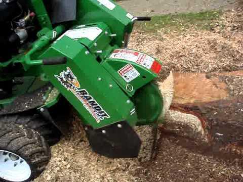 AGS Stump Grinding Service