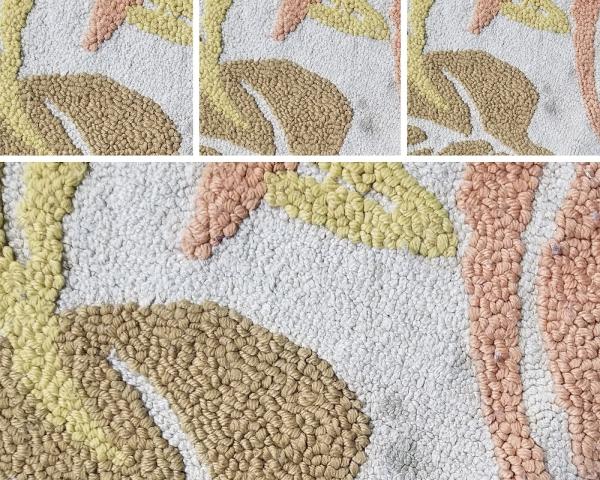 Carpet Cleaning Orange NJ