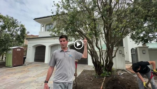 AV Landscaping