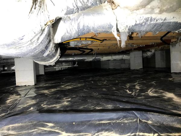 Low Country Pest Specialists