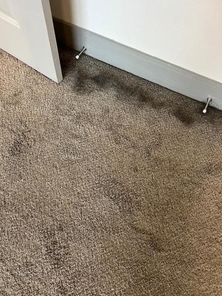 Spot On Cleaning Solutions Hardwood Refinishing & Cleaning