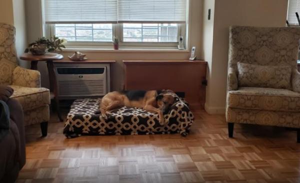 Tully Spagnoli & Sons Flooring