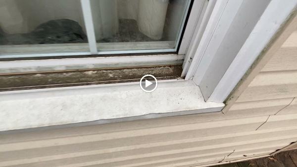 Dr. Squeegee Home Cleaning