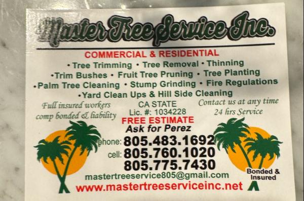 Master Tree Service