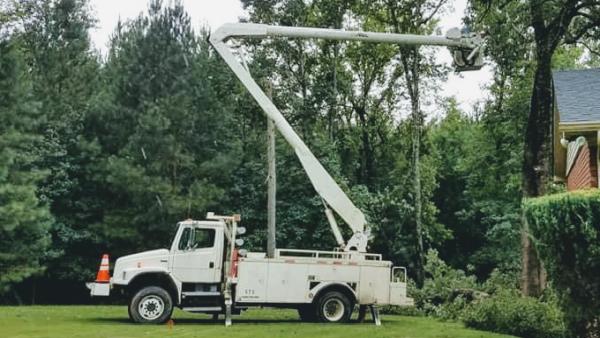 D&M Tree and Land Services