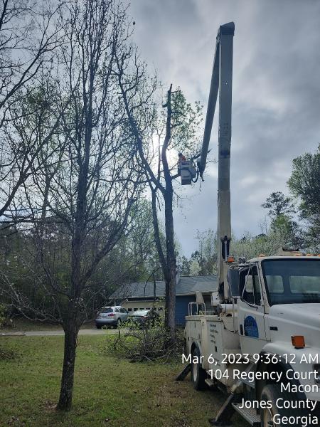 D&M Tree and Land Services