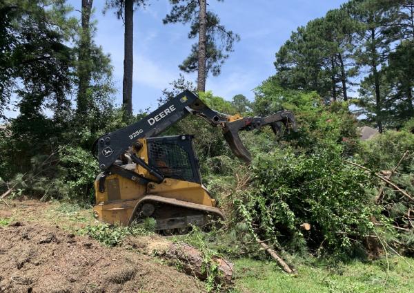 D&M Tree and Land Services