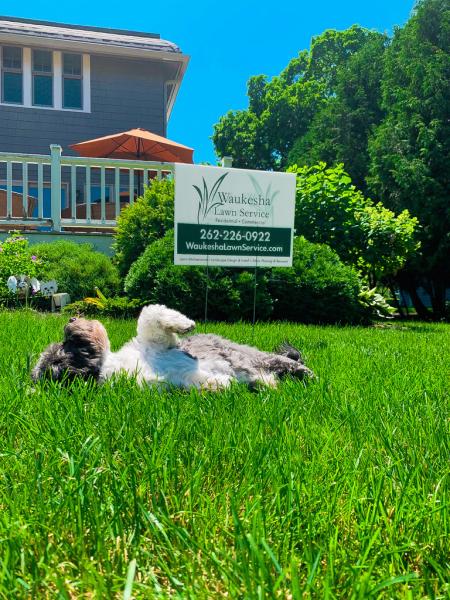 Waukesha Lawn Service