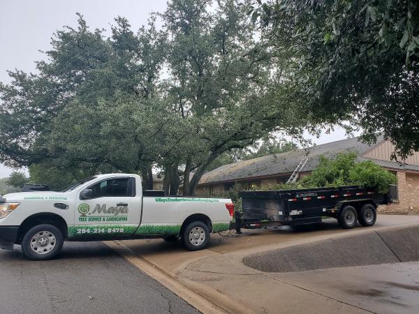Gmaya Tree Service & Landscaping LLC