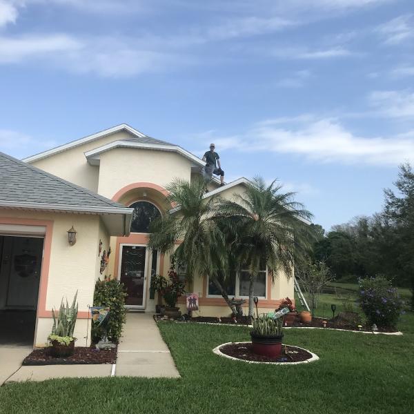 Affordable Animal Removal
