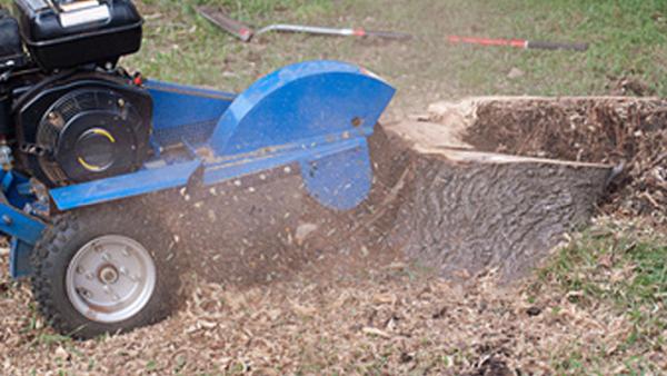 Stump Grinders