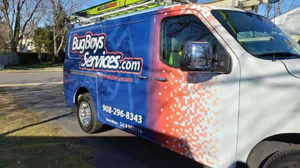 Bug Boys Services