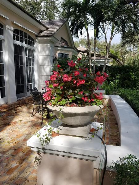 Diaz Lawn Maintenance L.l.c.