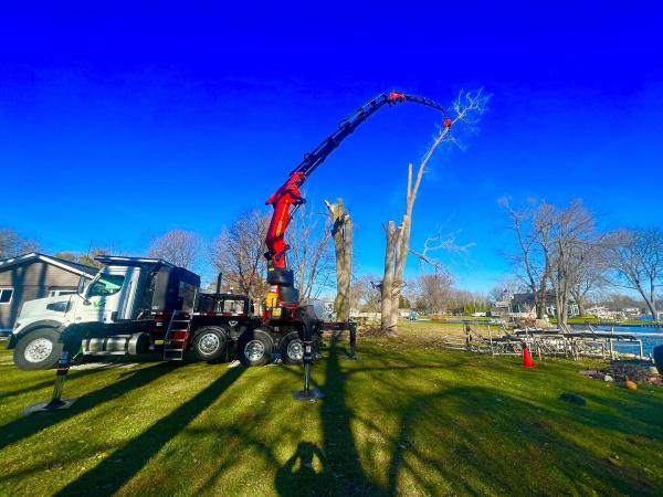 Vangordon Tree & Land Solutions