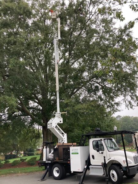 Dawson Tree Service