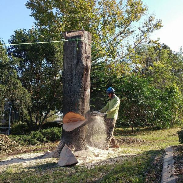 DWC Outdoors & Hauling LLC