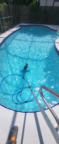Shine Bright Pool Services