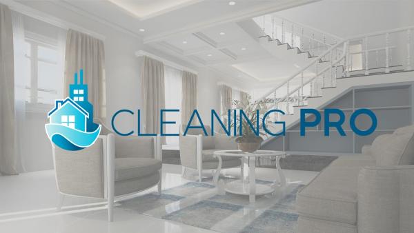 Cleaning Pro Chicago