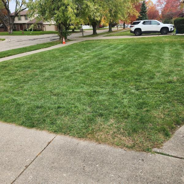 Natural Way Lawn