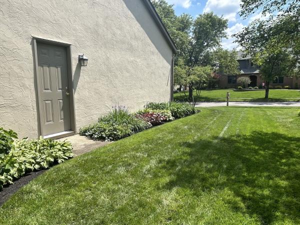 Outdoor Makeovers