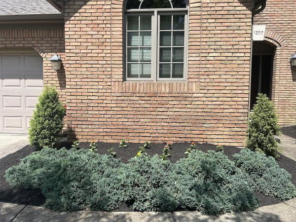 Outdoor Makeovers