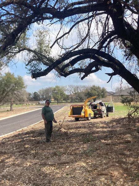 A to Z Complete Tree Service