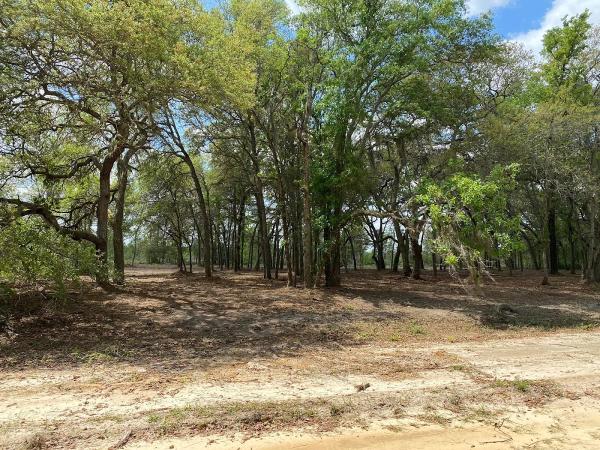 Florida Land Clearing